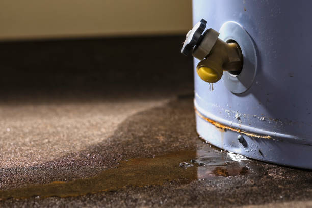 Best Water damage restoration specialists  in Burley, ID