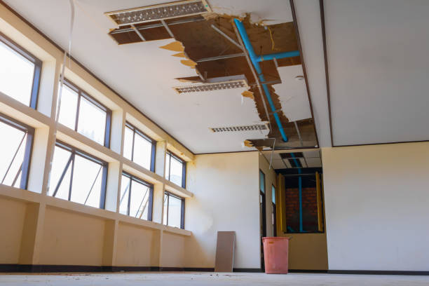 Best Flooded house restoration  in Burley, ID