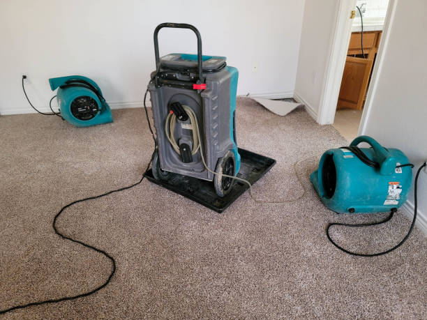 Best Flood restoration services  in Burley, ID