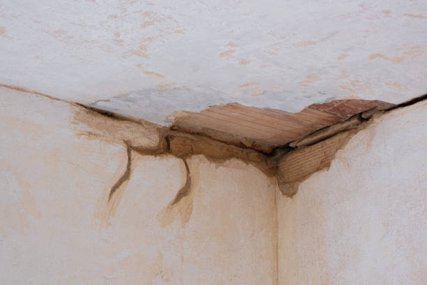 Best Water damage cleanup near me  in Burley, ID
