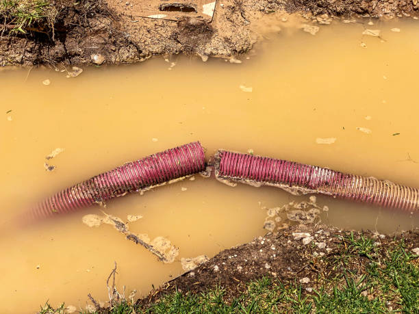 Best Residential water damage restoration  in Burley, ID