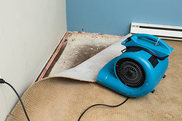 Best Local water damage restoration  in Burley, ID